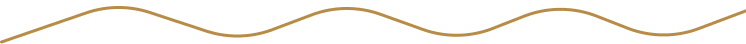 Vector 2